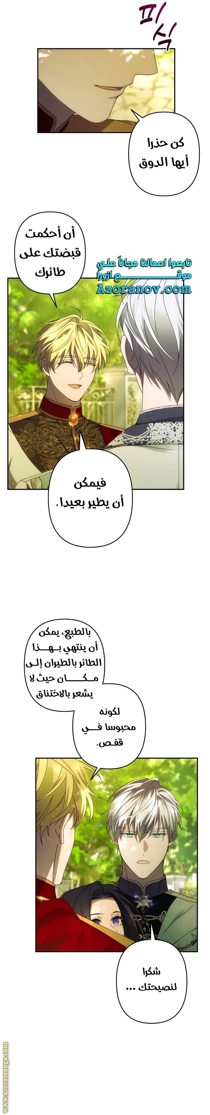 الصفحة 11