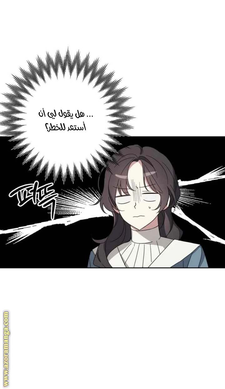 الصفحة 17