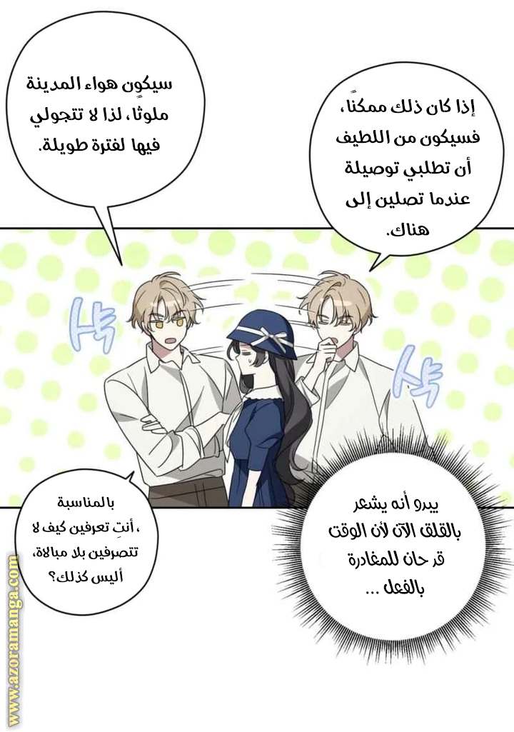 الصفحة 27