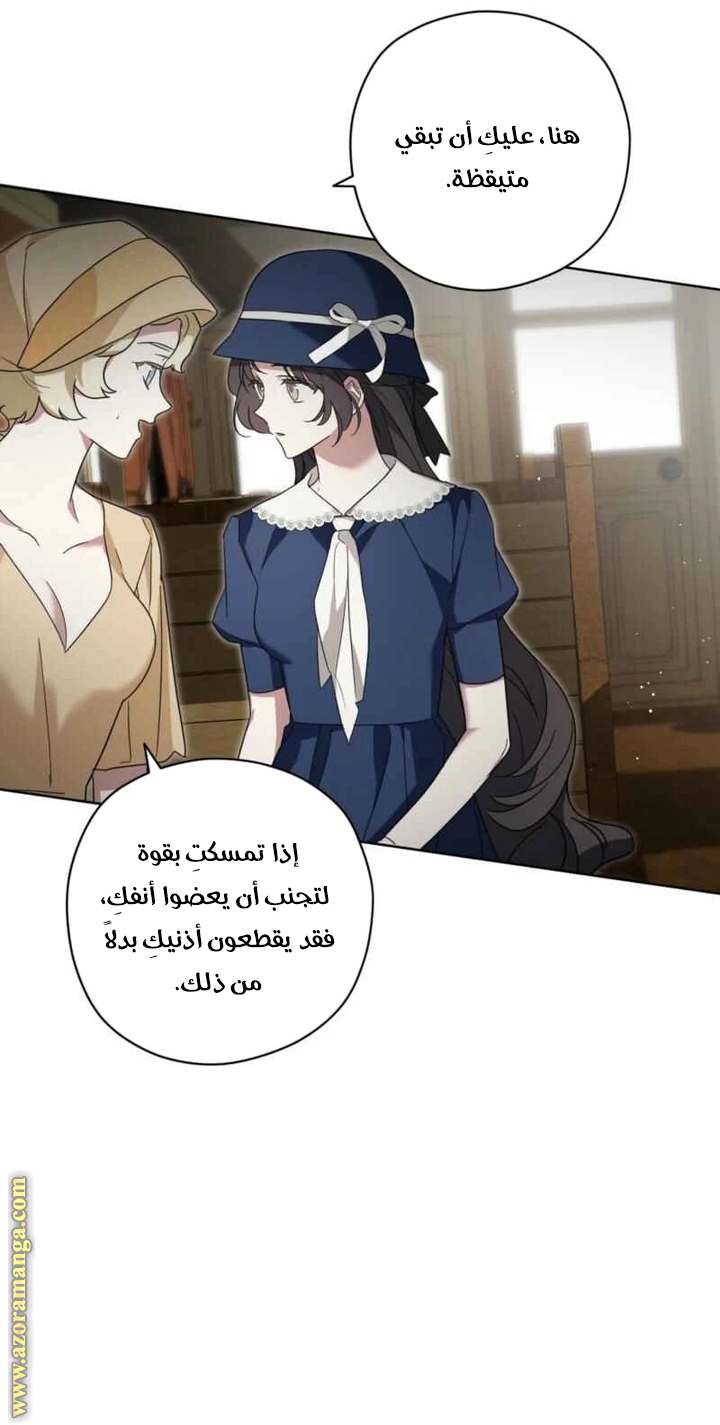 الصفحة 49