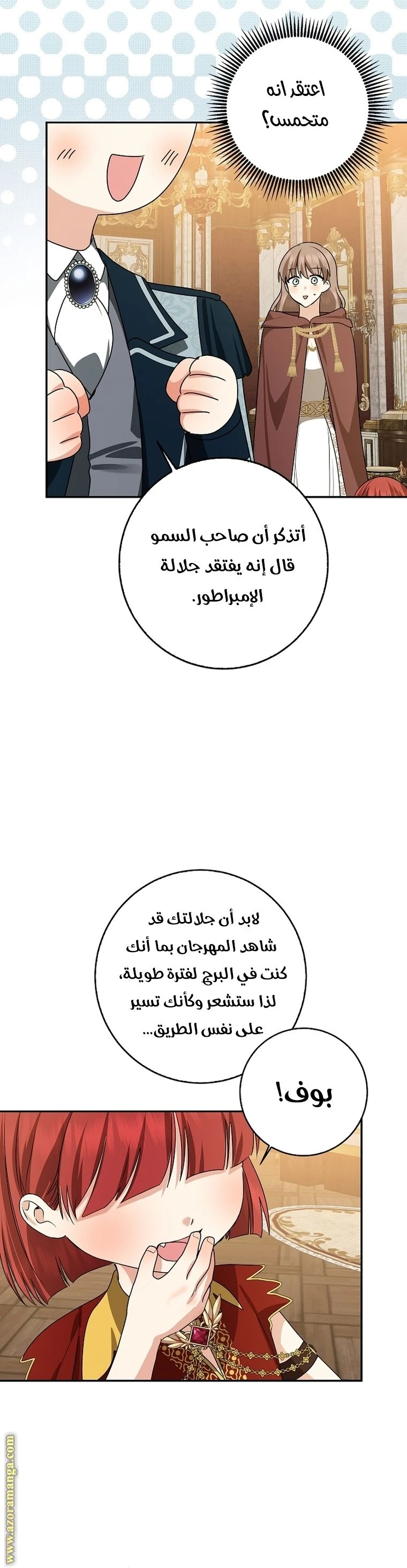 الصفحة 26