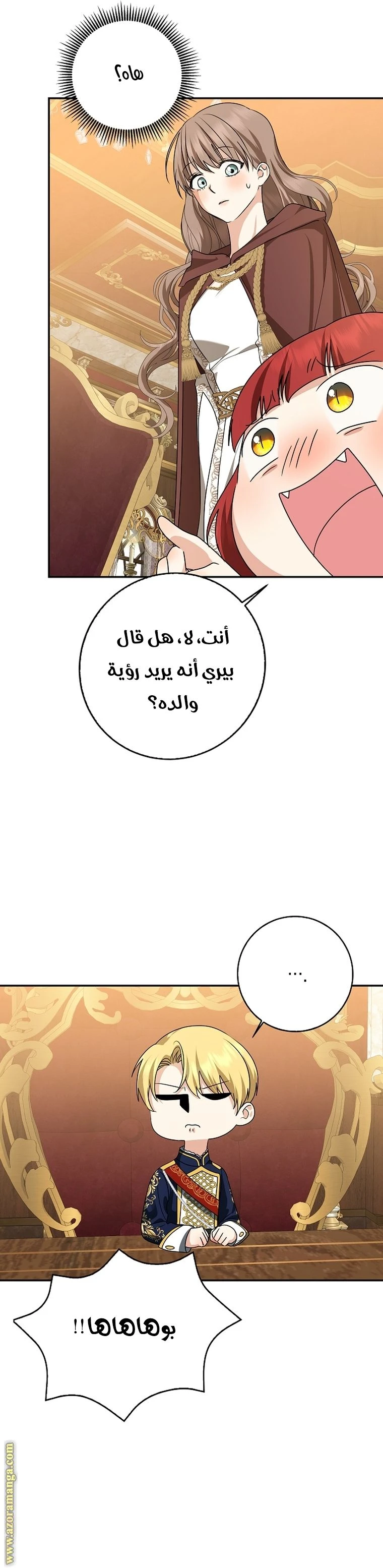 الصفحة 27