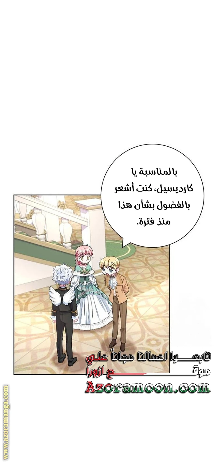 الصفحة 27