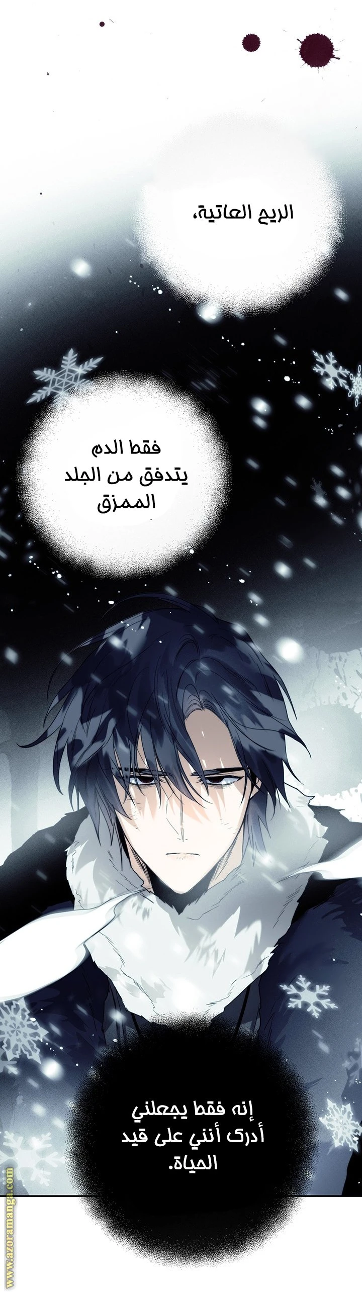الصفحة 17