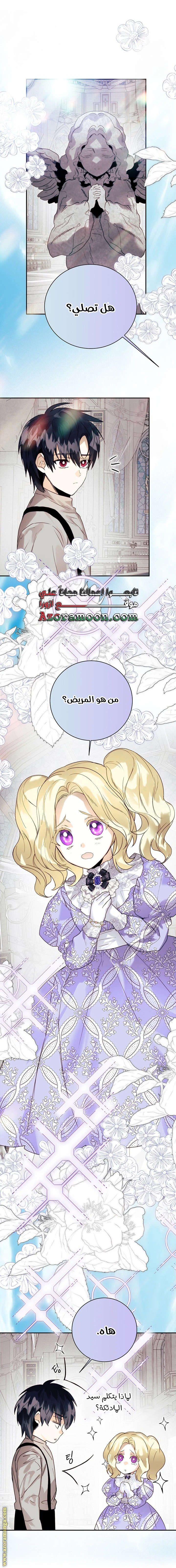 الصفحة 24