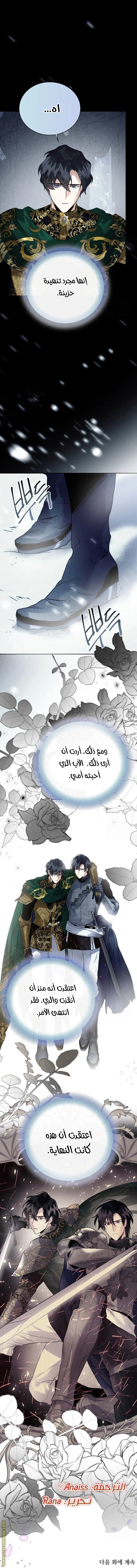 الصفحة 29