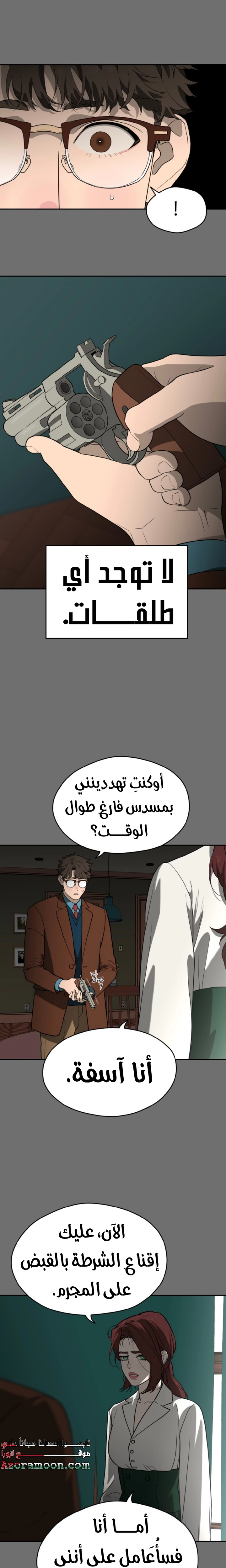 الصفحة 13