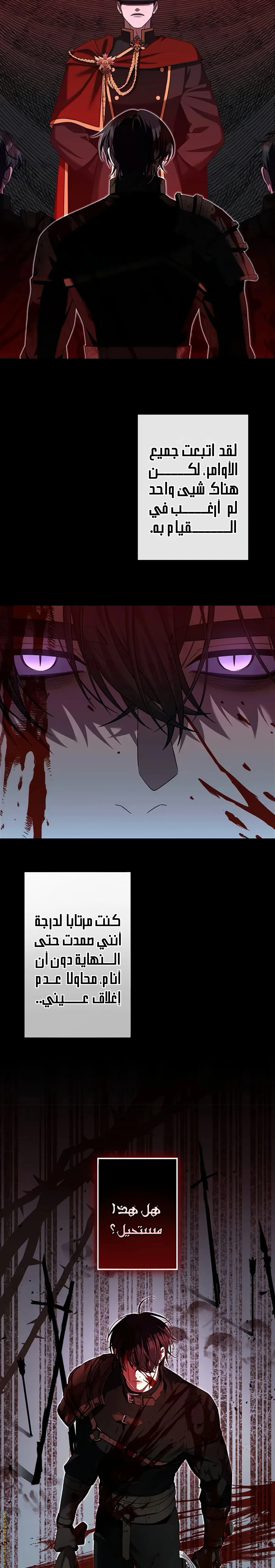 الصفحة 20