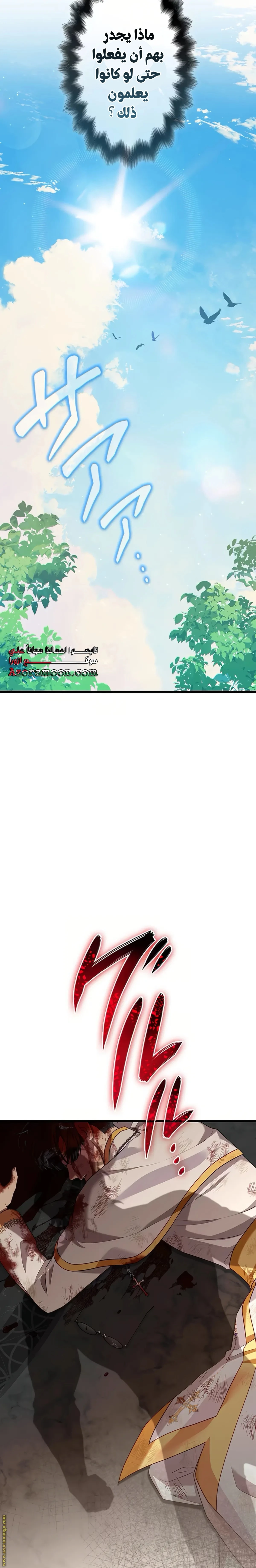 الصفحة 29