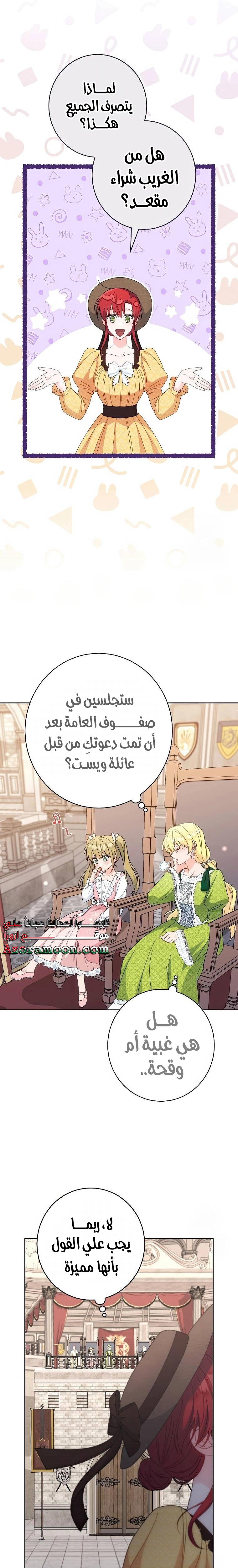 الصفحة 17