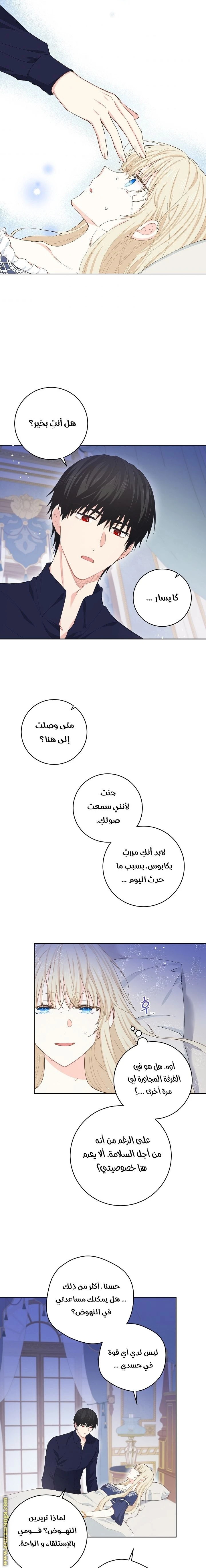 الصفحة 7