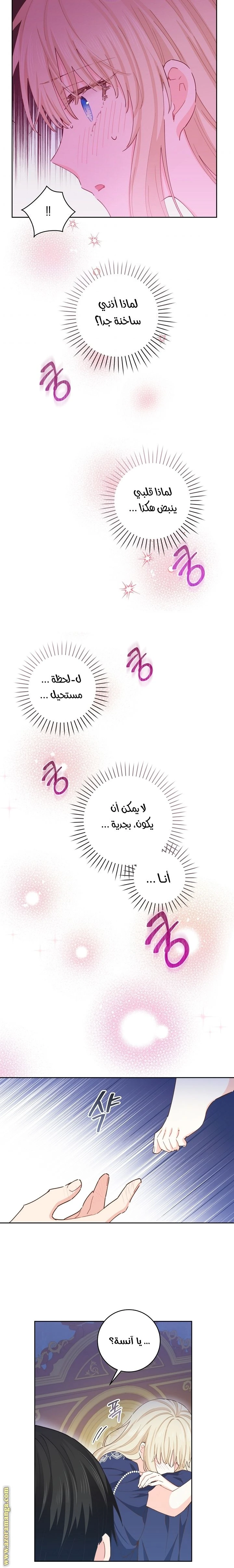 الصفحة 13