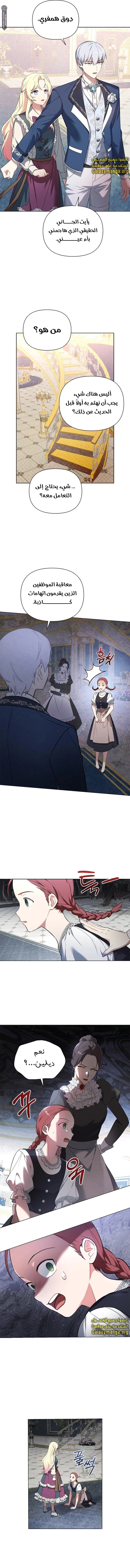 الصفحة 12