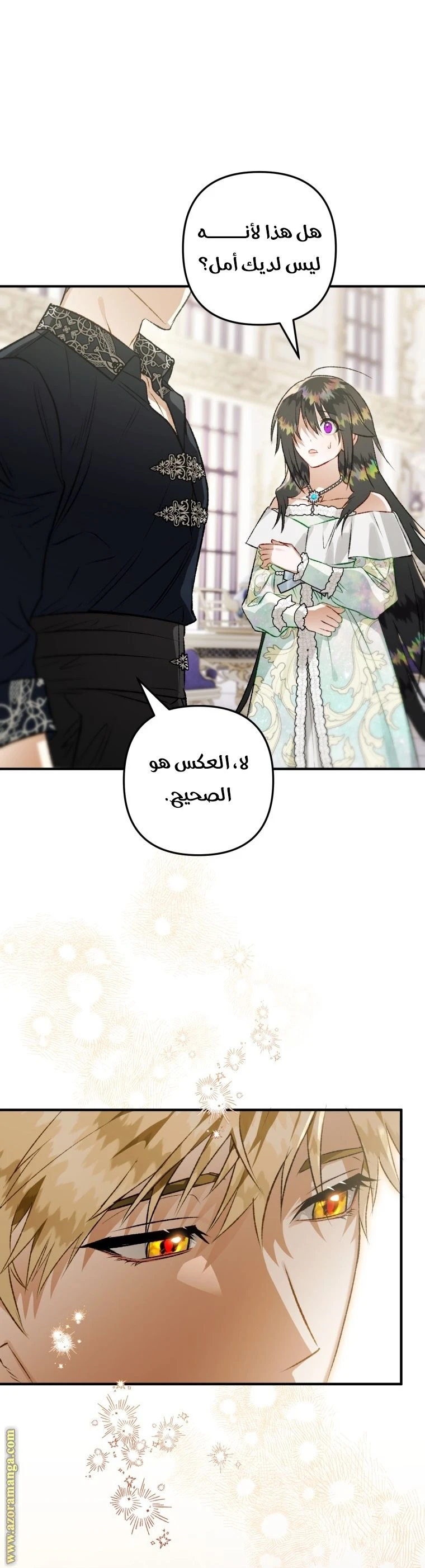 الصفحة 11