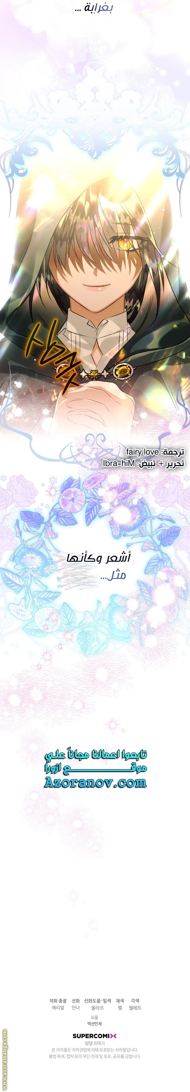 الصفحة 25