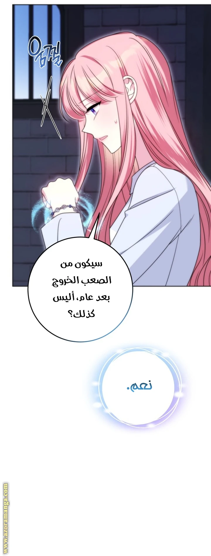 الصفحة 13