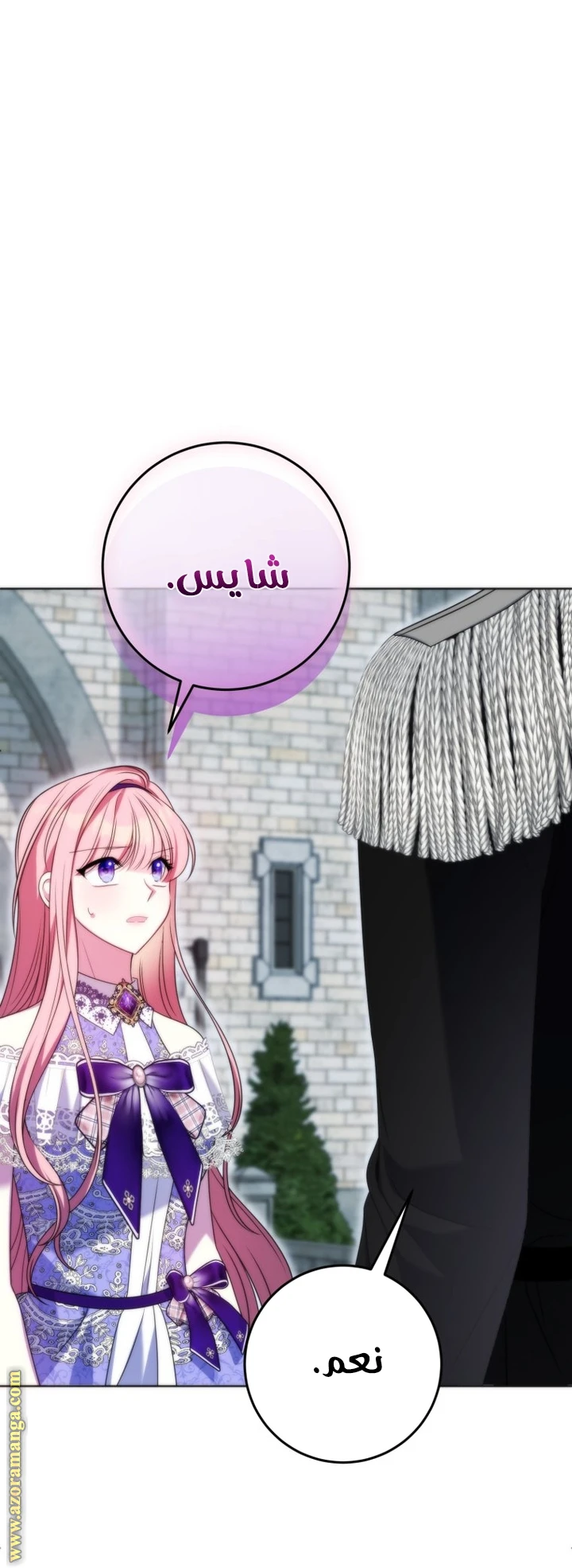 الصفحة 43