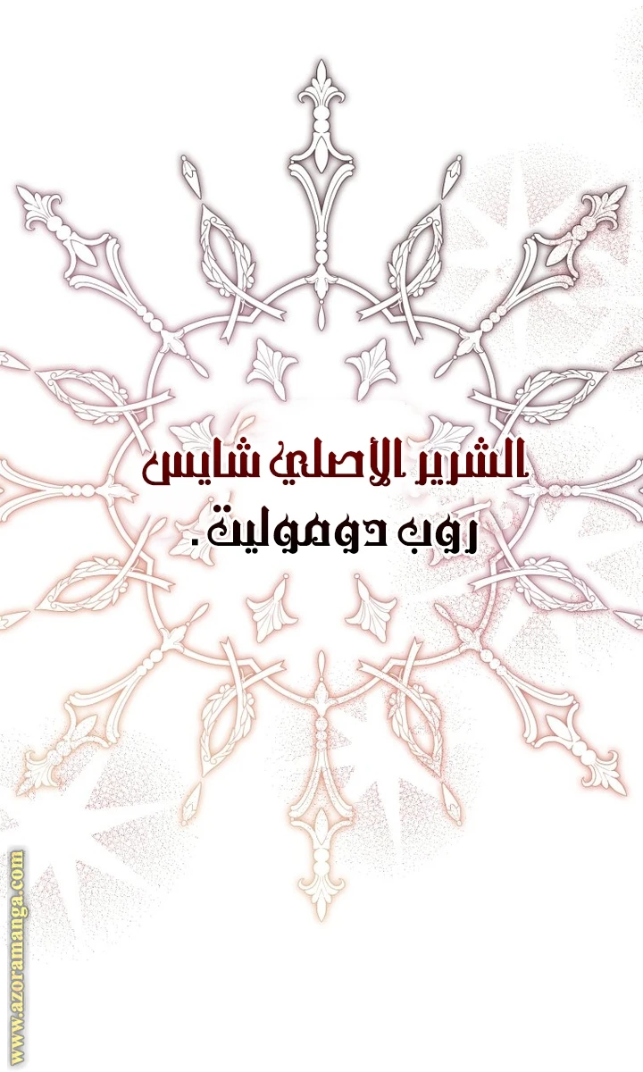 الصفحة 46