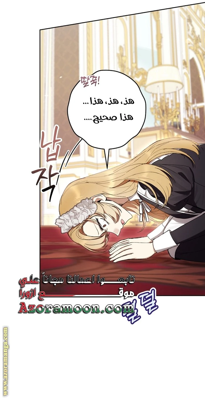 الصفحة 19