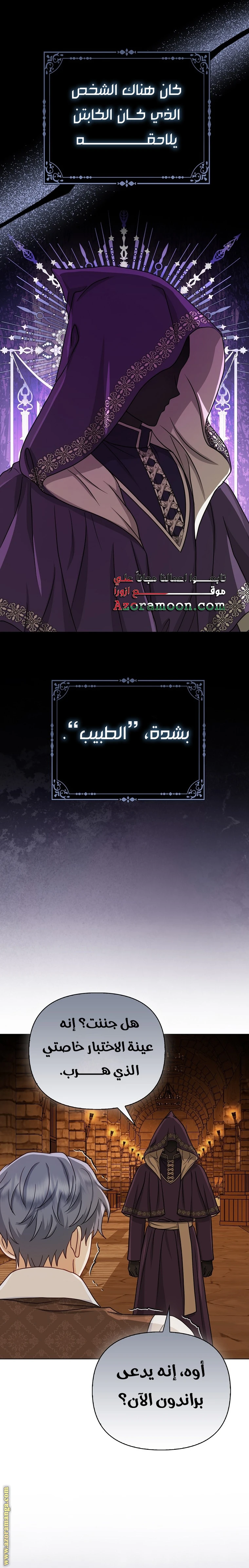 الصفحة 17