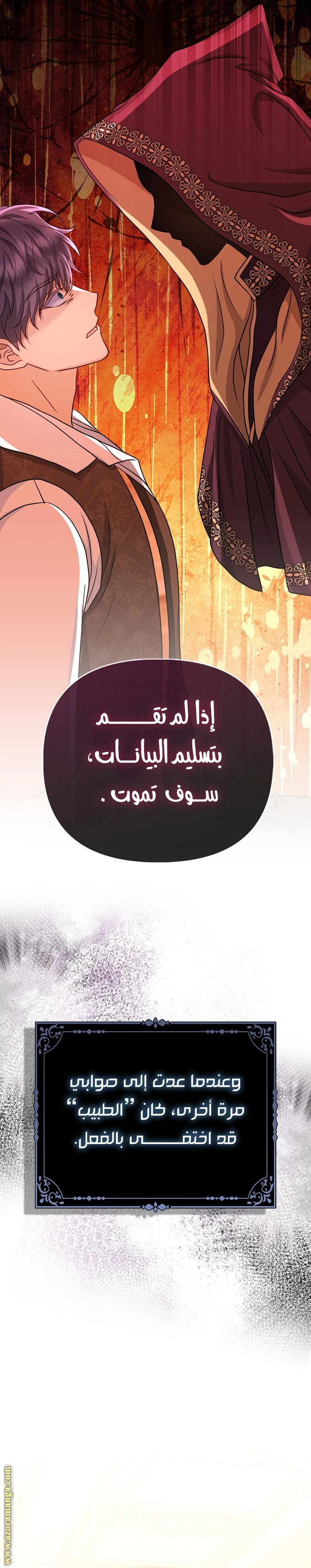 الصفحة 19