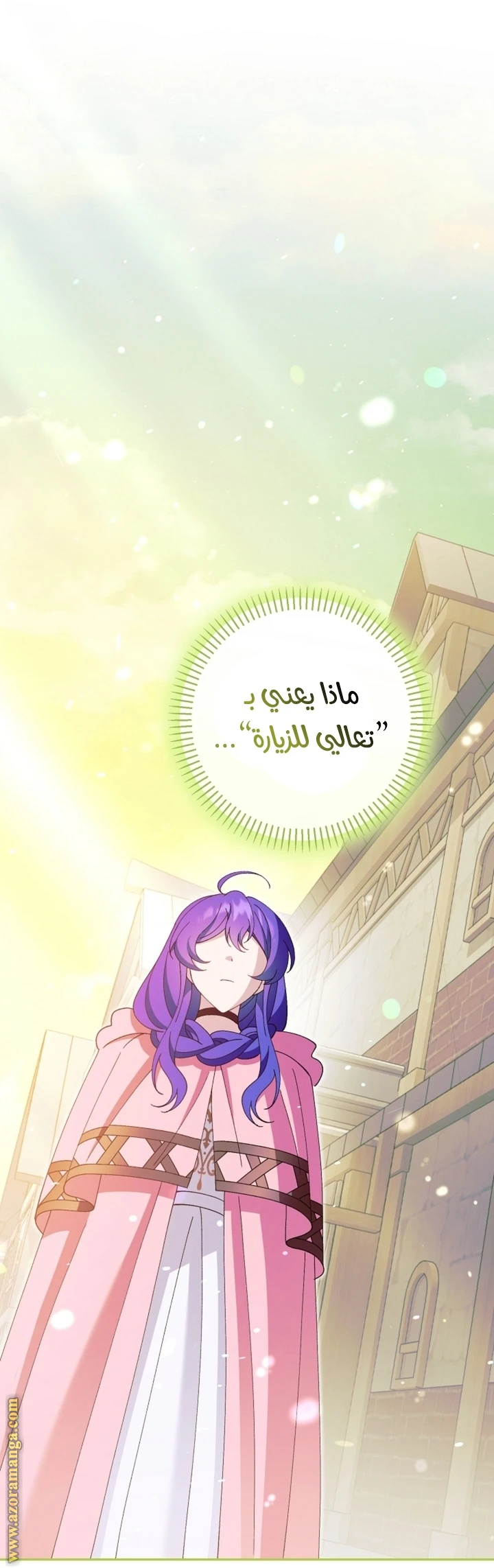 الصفحة 17