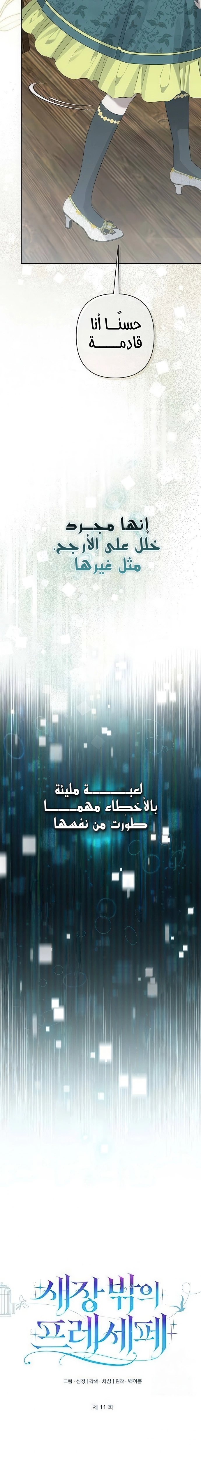 الصفحة 11