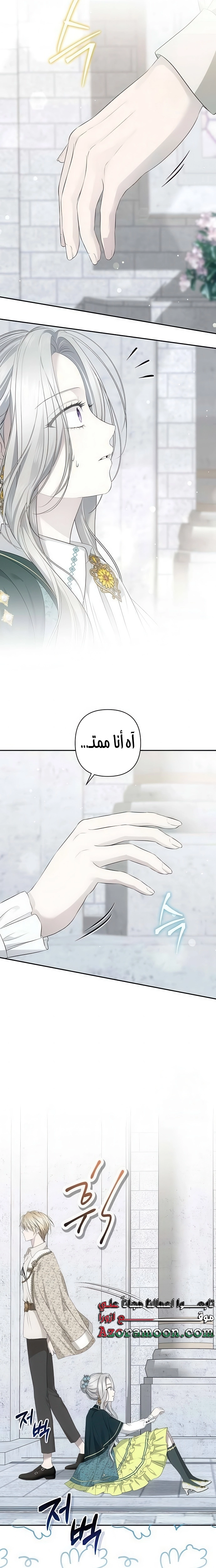 الصفحة 17