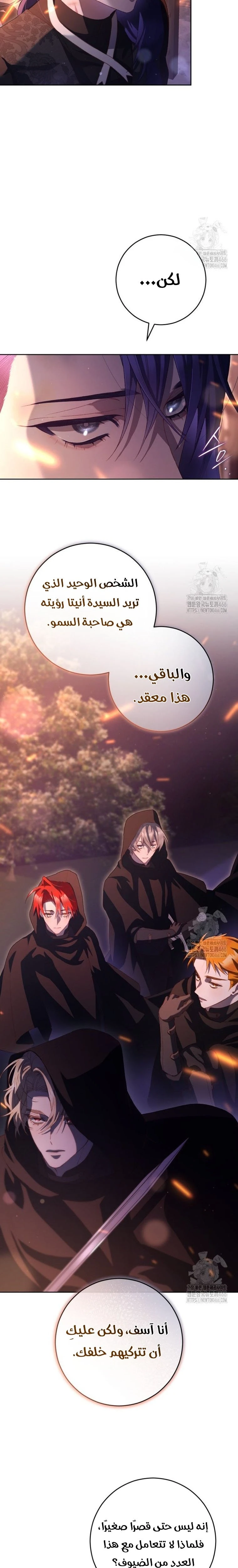 الصفحة 11