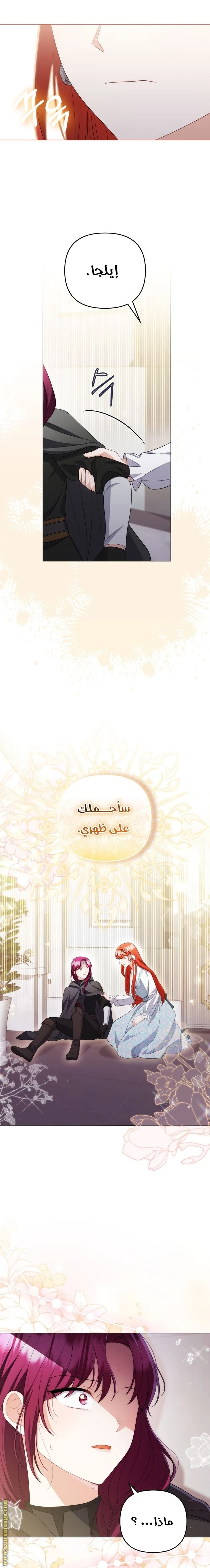 الصفحة 20