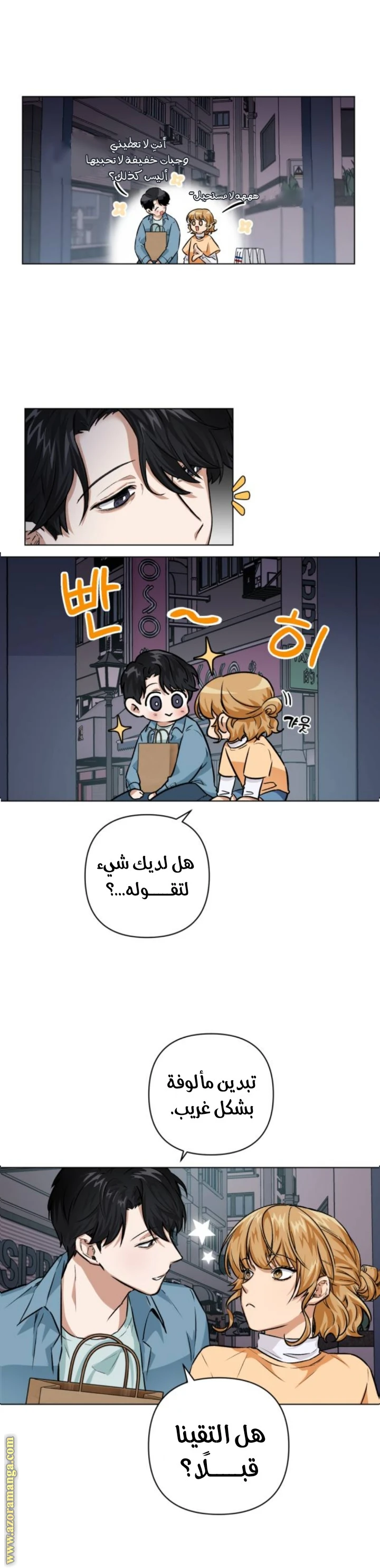 الصفحة 13