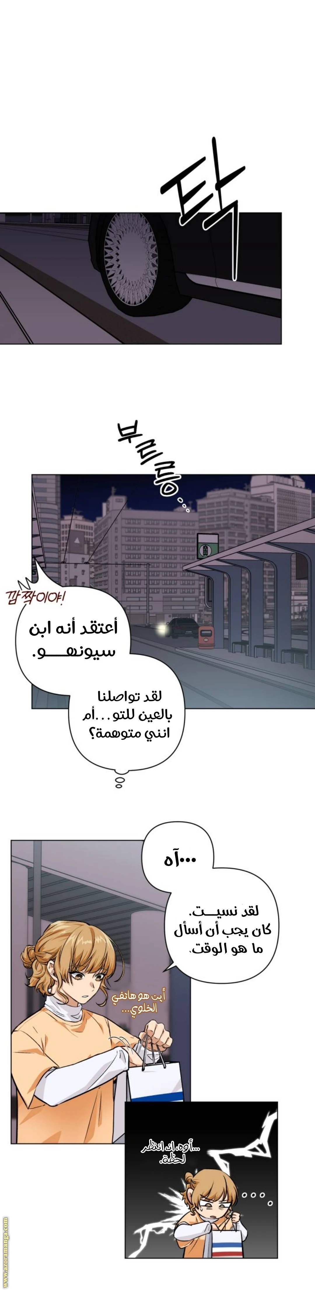 الصفحة 17