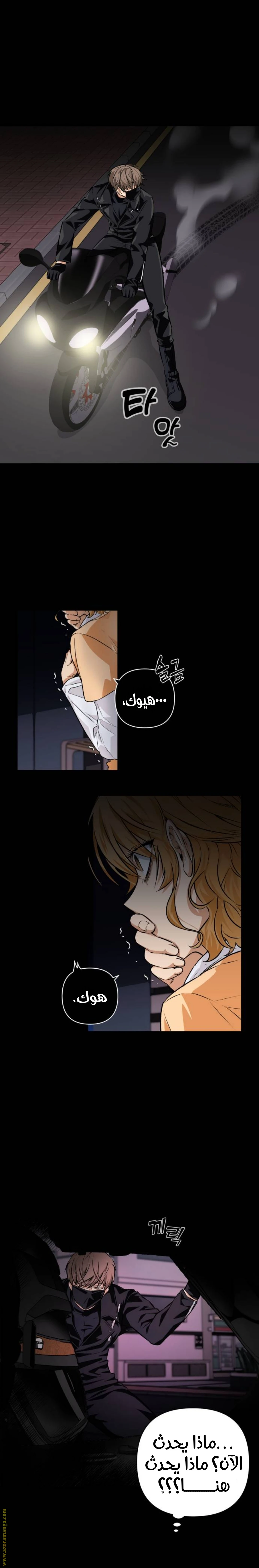الصفحة 20