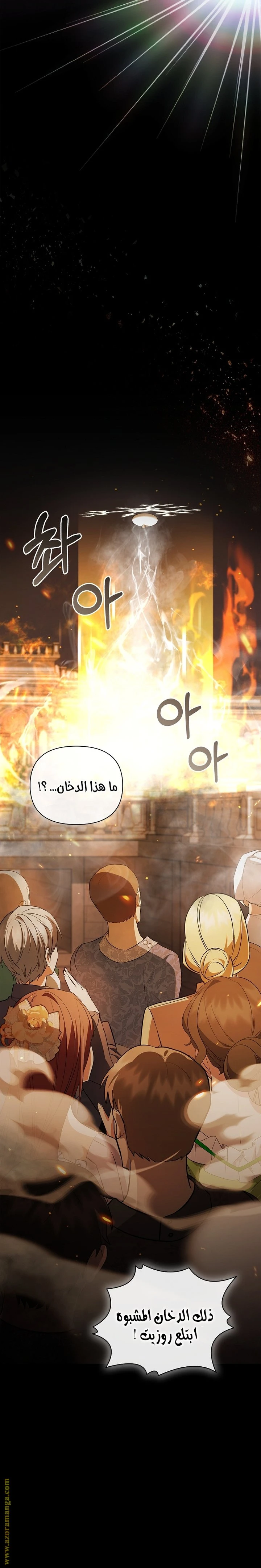 الصفحة 21