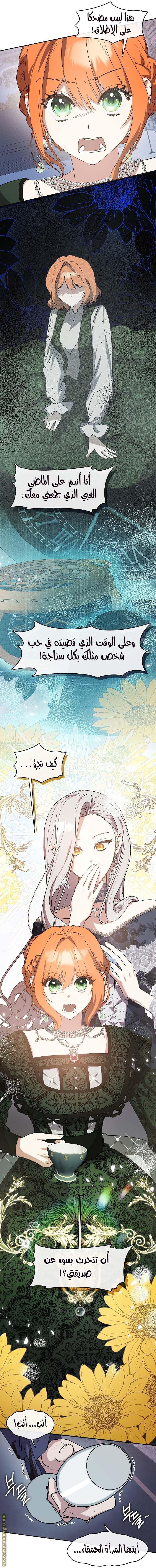 الصفحة 19
