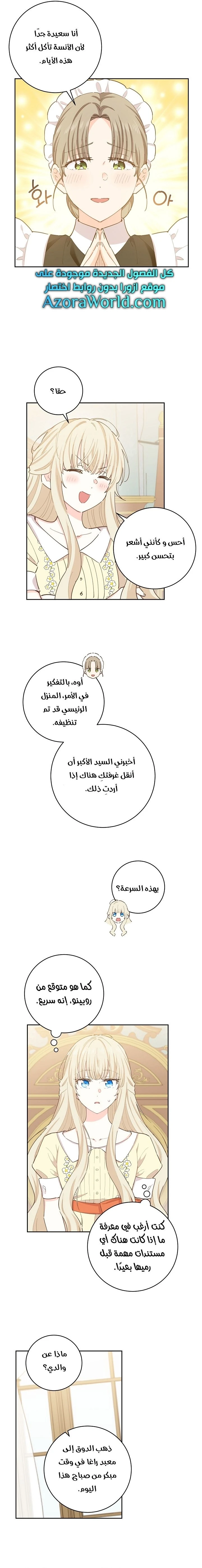 الصفحة 17