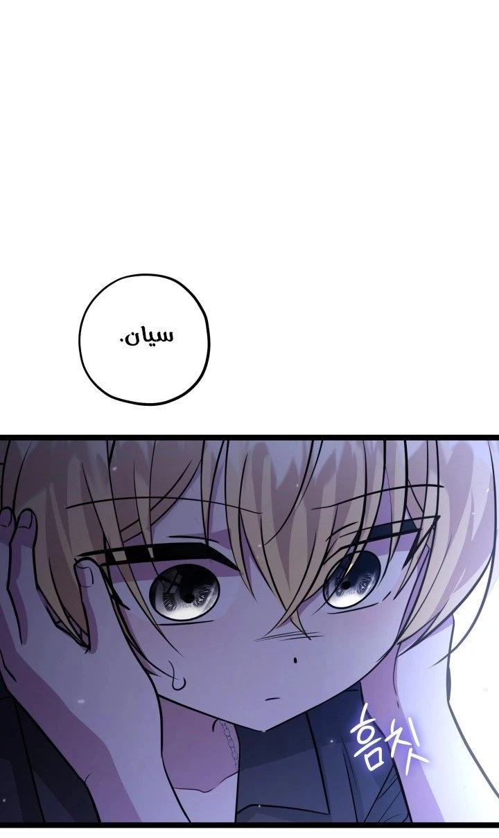 الصفحة 21