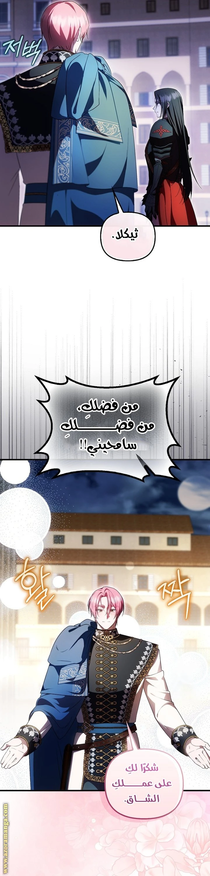 الصفحة 13