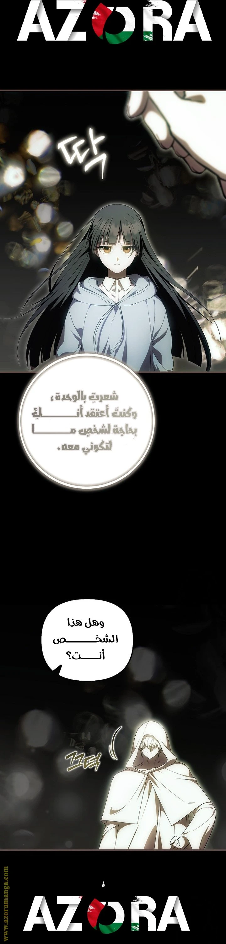 الصفحة 17