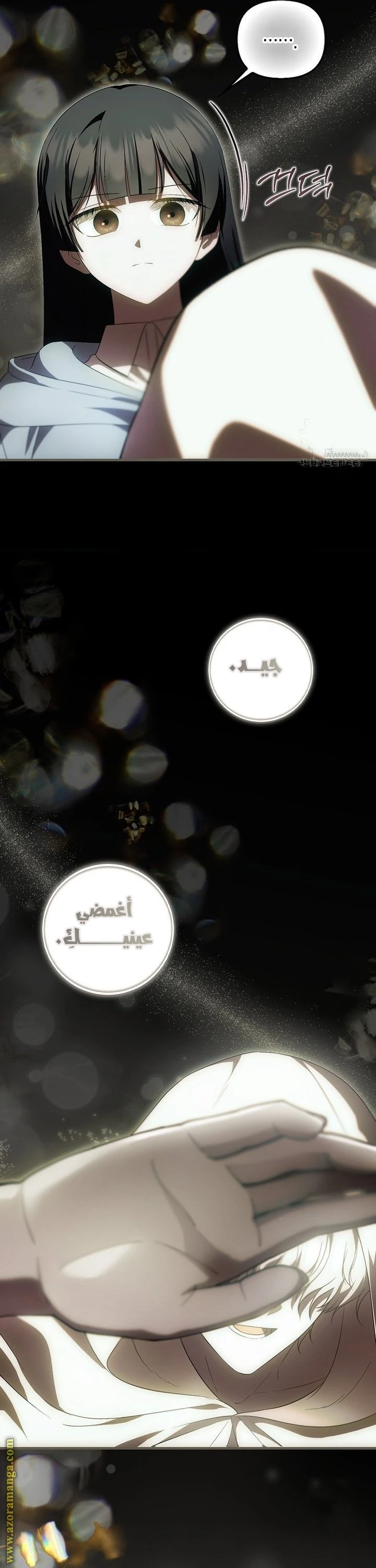 الصفحة 27