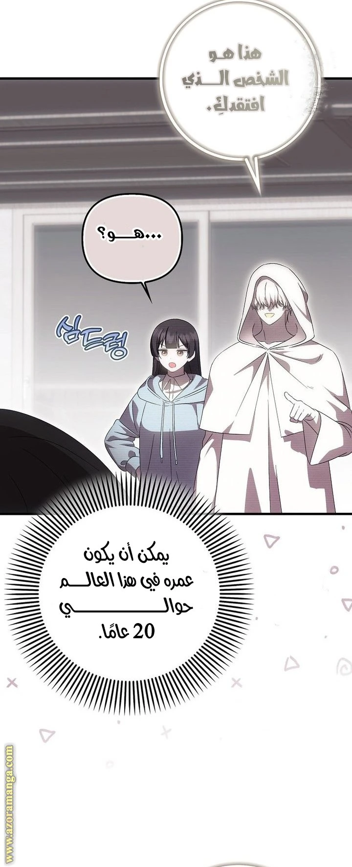 الصفحة 31