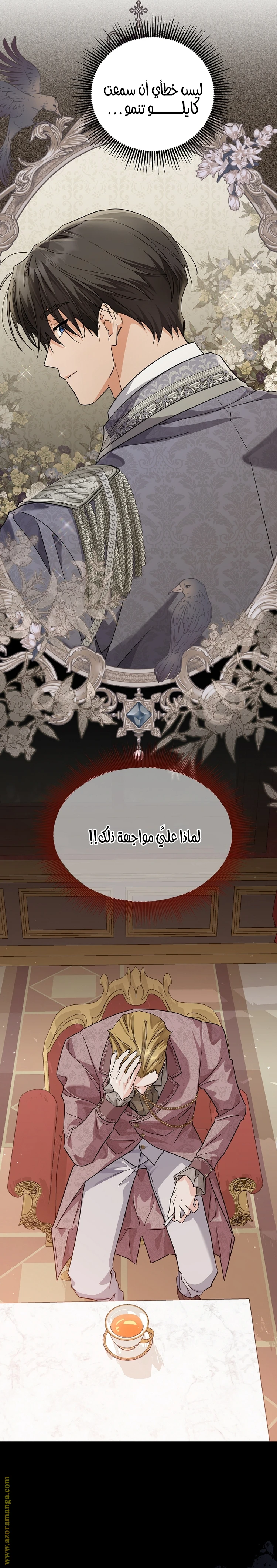 الصفحة 5