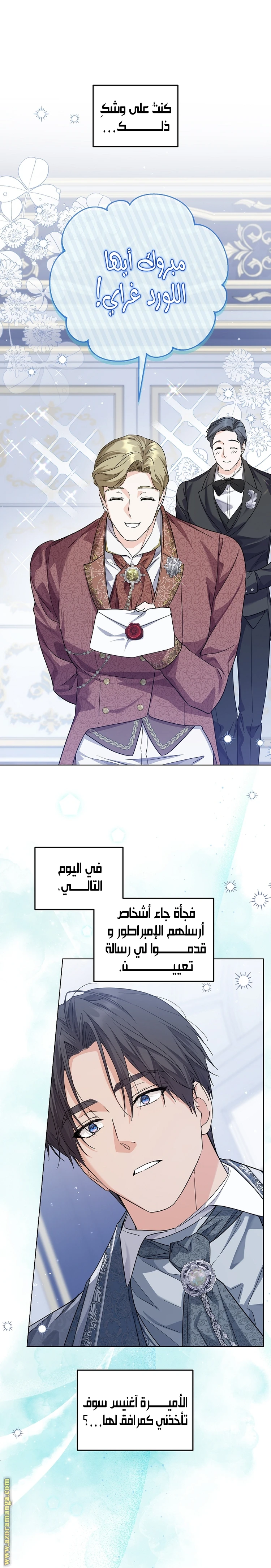 الصفحة 17