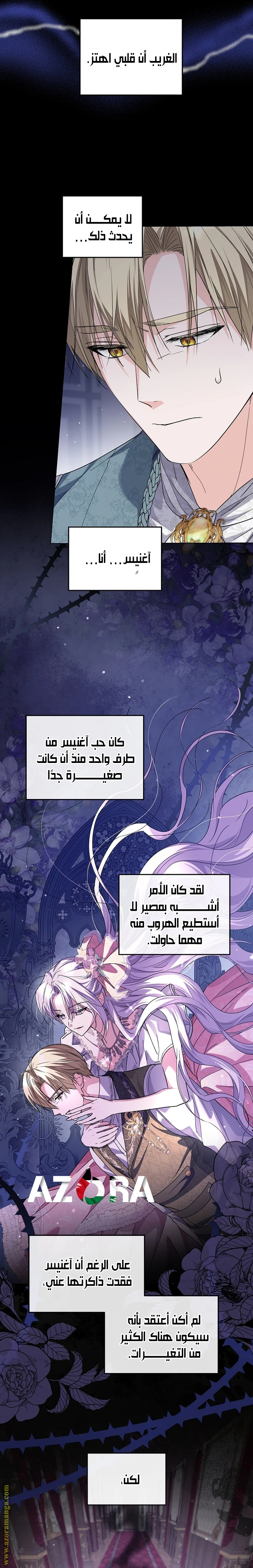 الصفحة 25