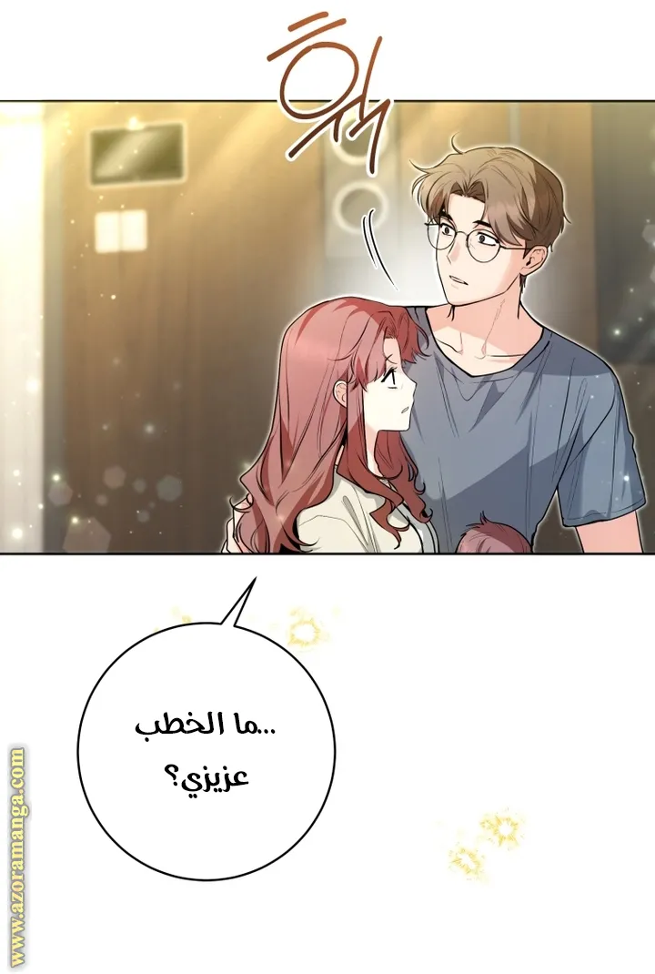 الصفحة 20