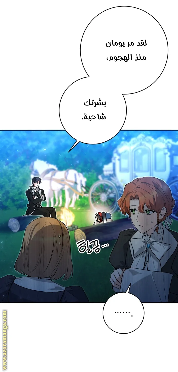 الصفحة 31