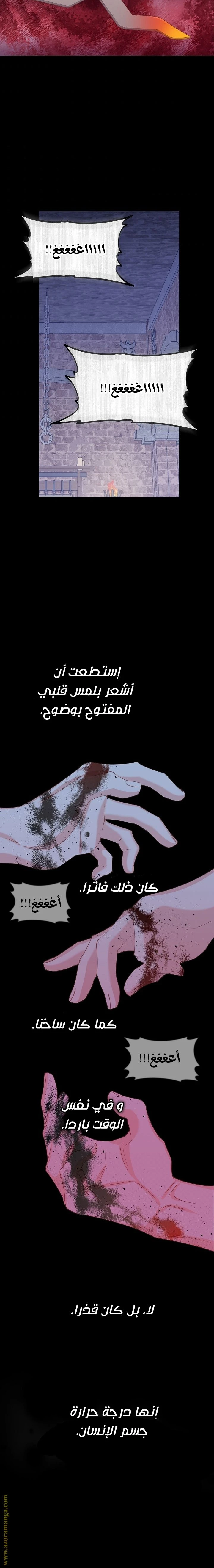 الصفحة 8