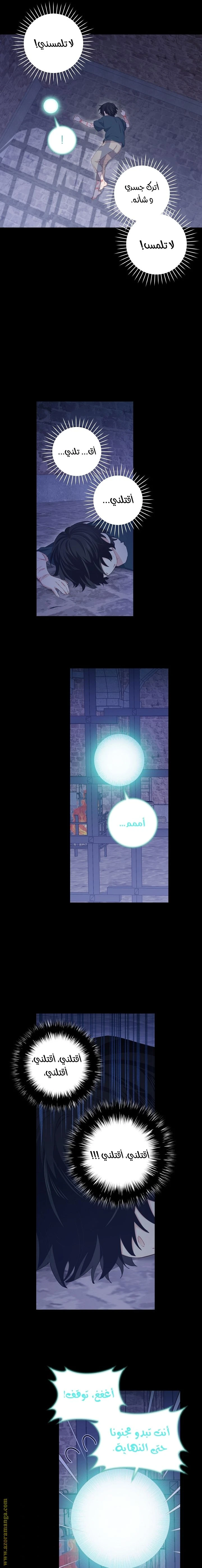 الصفحة 13