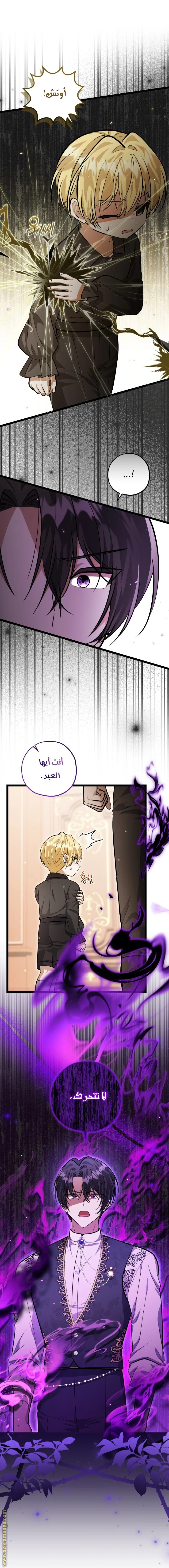 الصفحة 15