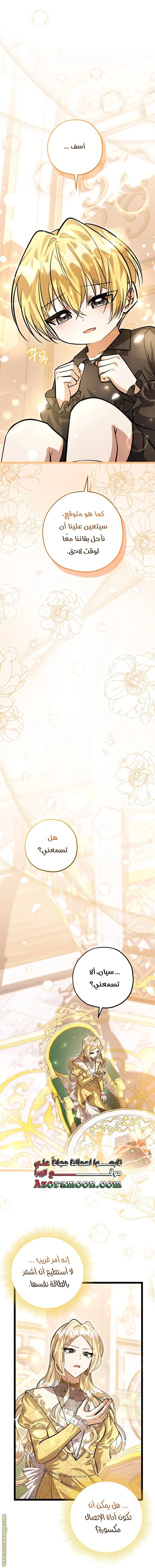 الصفحة 26